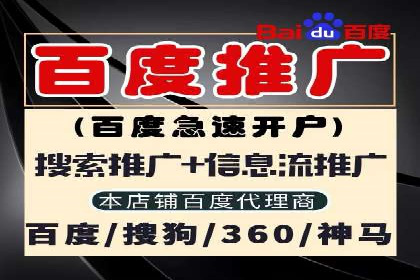 竞价推广公司经典案例：打造行业领先的广告投放效果